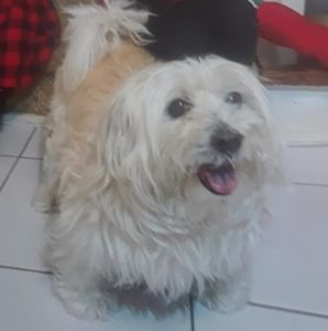 Meet your Posher, Sonia